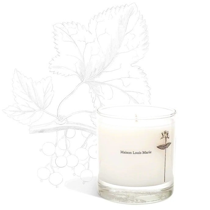 Antidris Cassis Candle