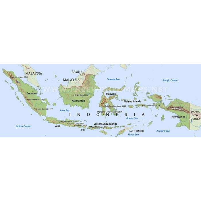 Celebes Kalossi