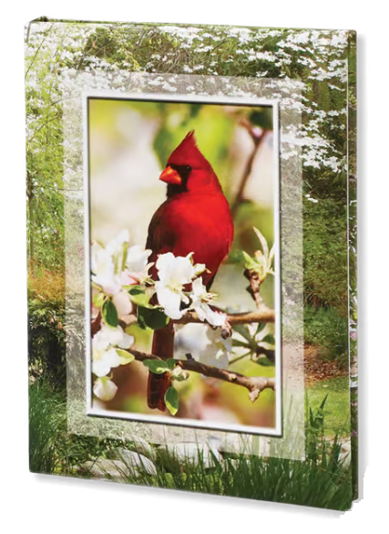 Spring Cardinal Funeral Guest Book - 6 Ring - ST8542OLD-BK