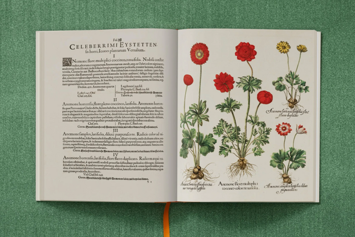 The Garden at Eichstätt Art Books - 3 Volumes