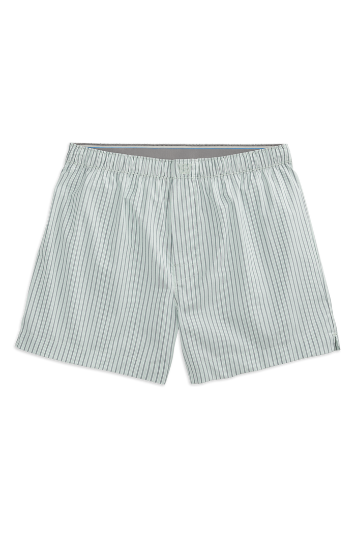 Minted - Bengal Stripe / S