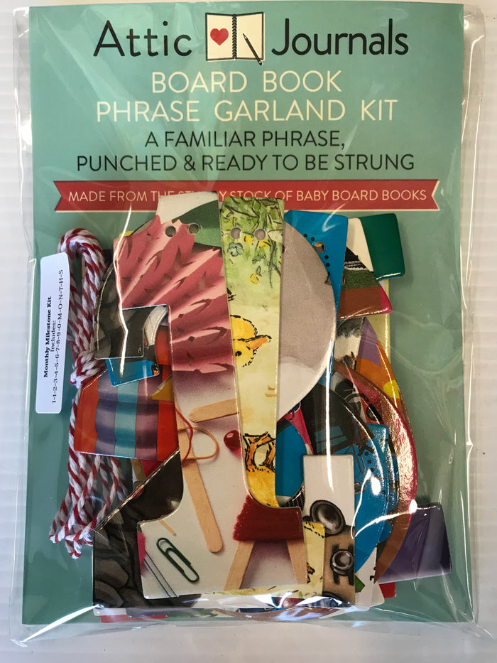 Baby Board Book Monthly Milestone Garland Kit