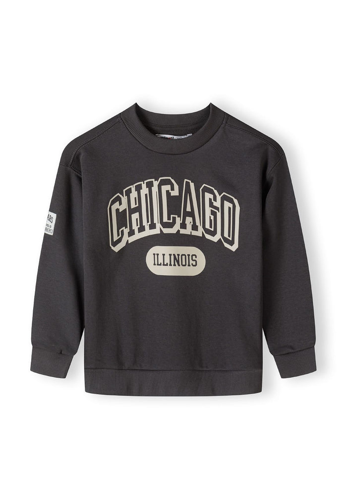 Boys grey fleece crew neck sweatshirt with decorative print, front view.