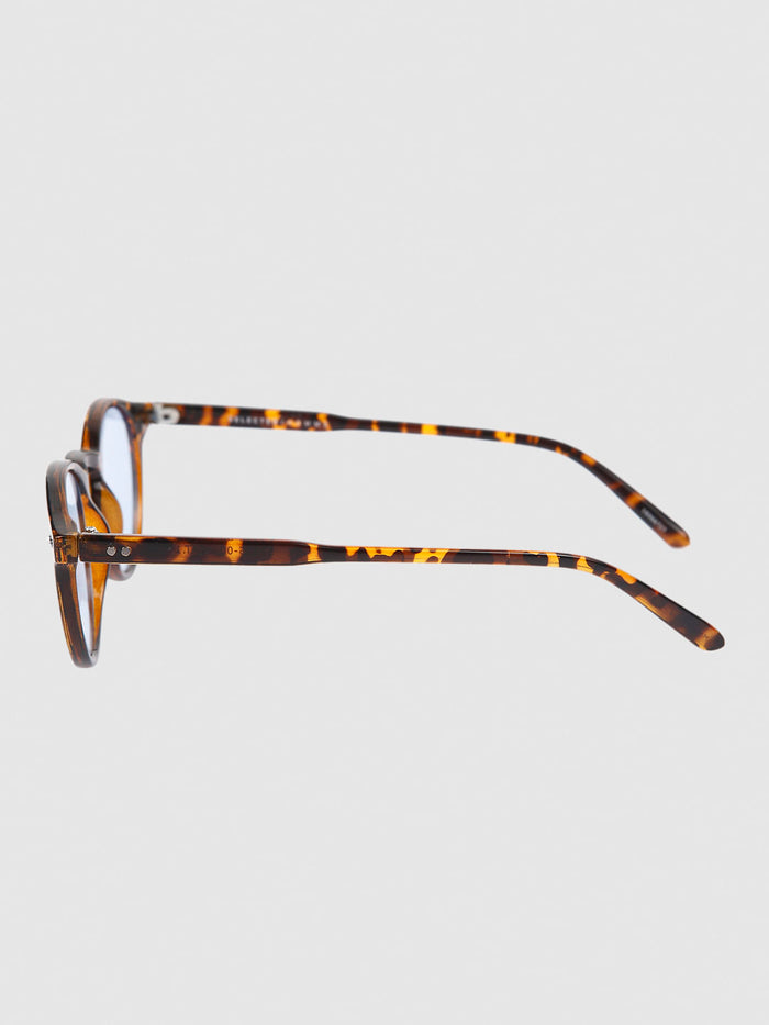 Brown Tortoise Shell Sunglasses