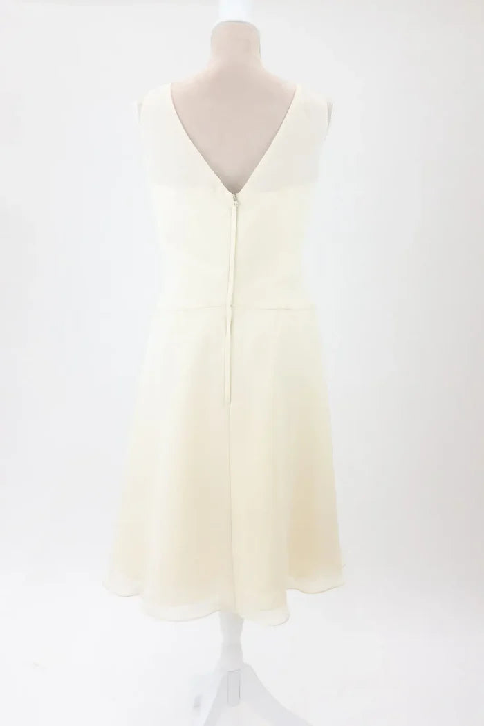 Champagne Whisper Dress