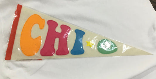 Chi Omega Pennant Flag