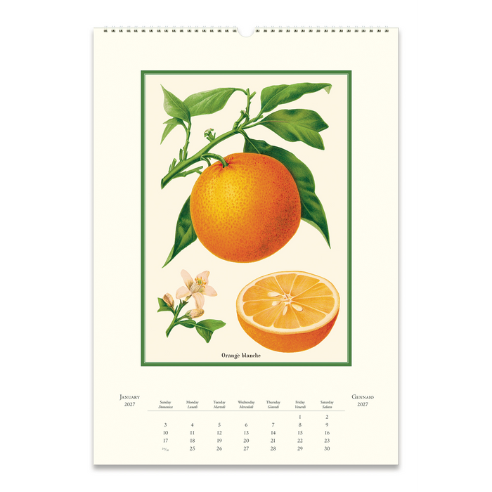 Farmer's Market Wall Calendar 2027
