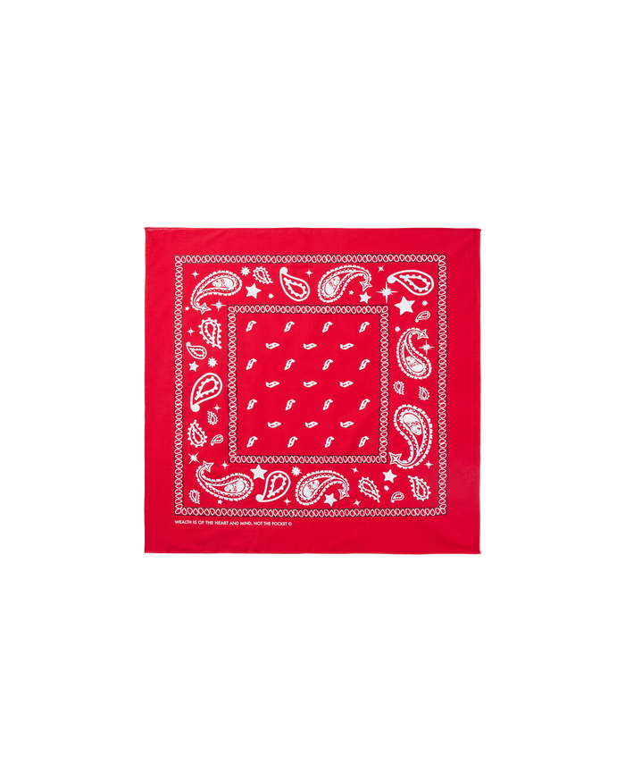 Flying B Paisley Bandana