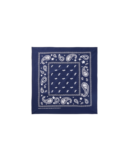 Flying B Paisley Bandana