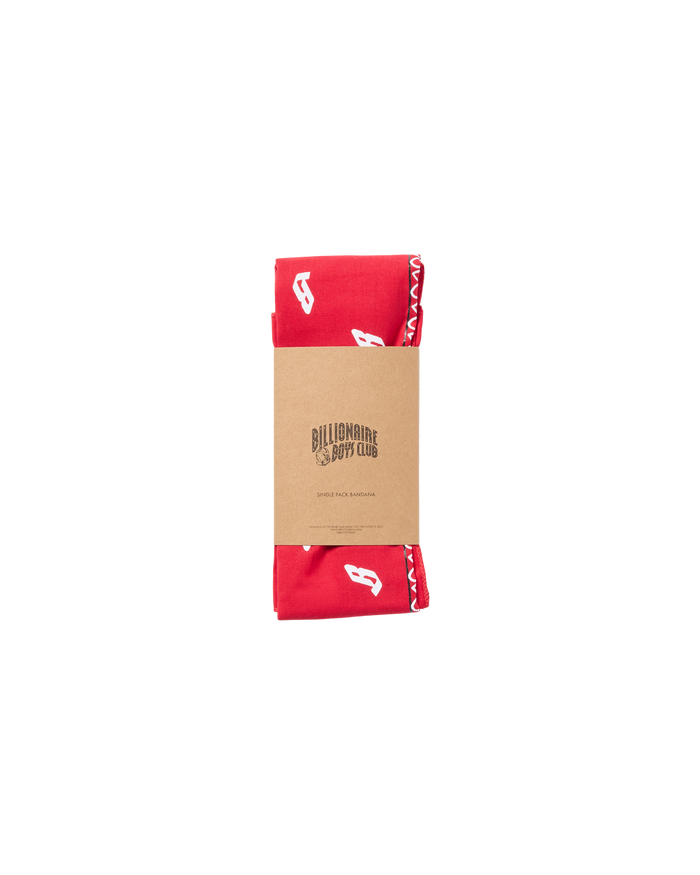 Flying B Paisley Bandana