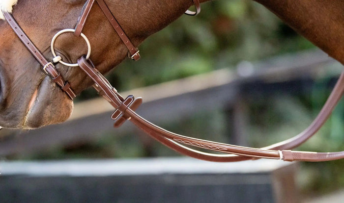 Huntley Equestrian Fancy Stitched Reins