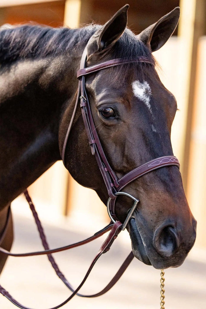 Huntley Equestrian Schooling Hunter Bridle