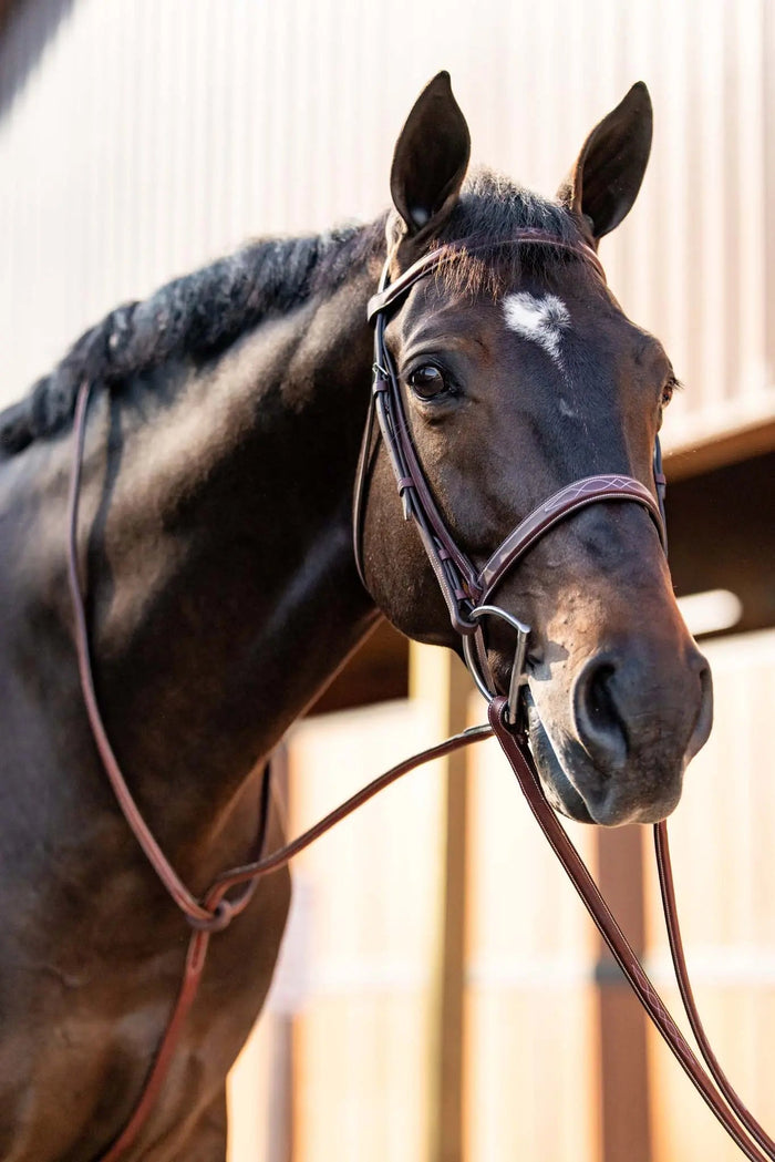 Huntley Equestrian Schooling Hunter Bridle