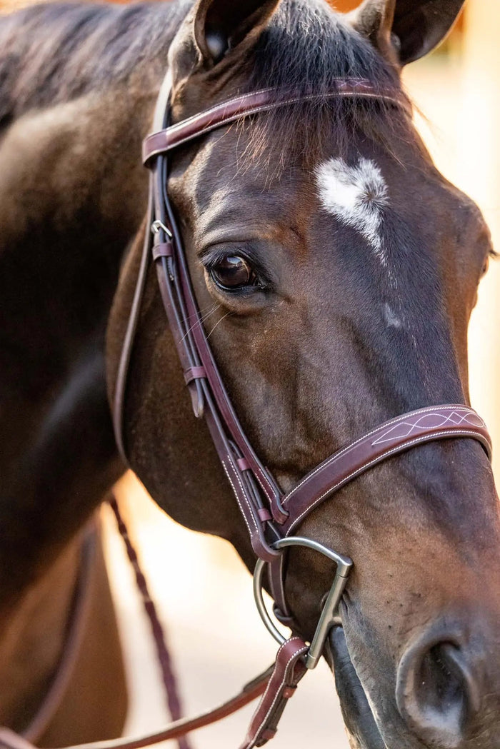 Huntley Equestrian Schooling Hunter Bridle