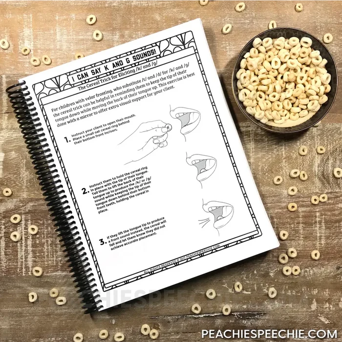 I Can Say the K and G Sounds: Articulation Workbook - Materials peachiespeechie.com