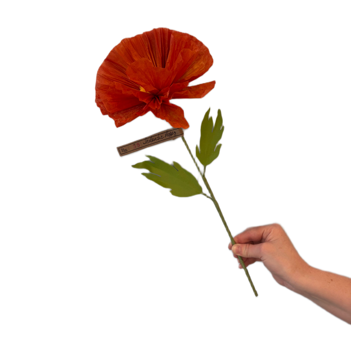 Icelandic Poppy Paper Flower
