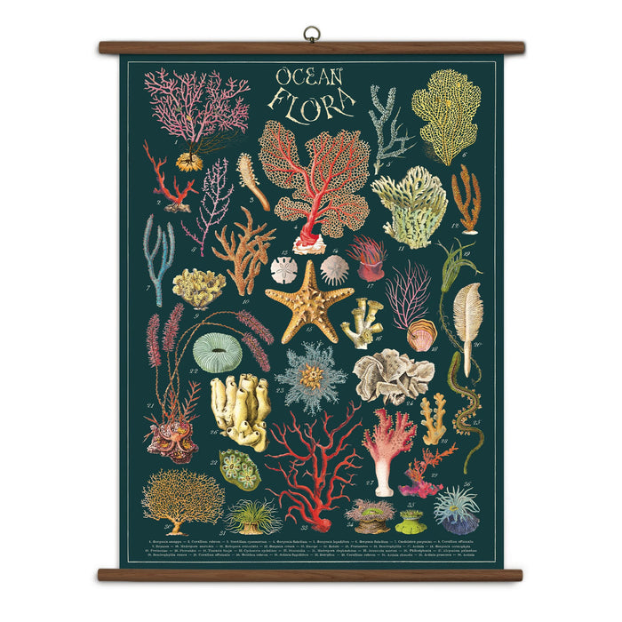 Ocean Flora School Chart