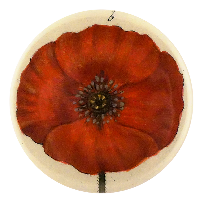 Papaver (poppy) Mirror Button