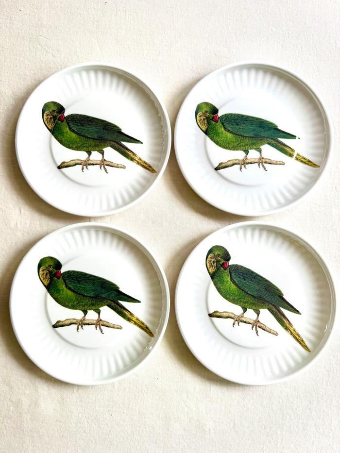 Parrot Melamine Dinner Plates -  S/4