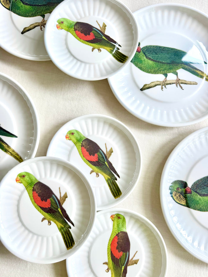 Parrot Melamine Dinner Plates -  S/4