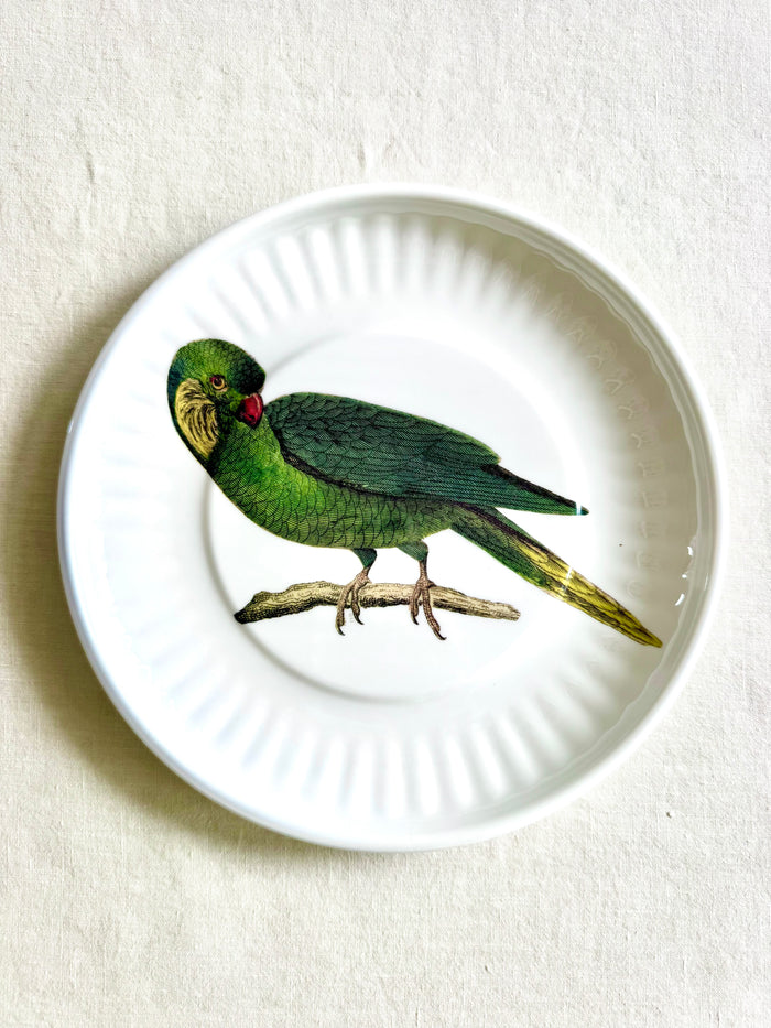 Parrot Melamine Dinner Plates -  S/4
