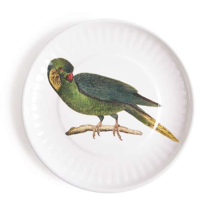 Parrot Melamine Dinner Plates -  S/4