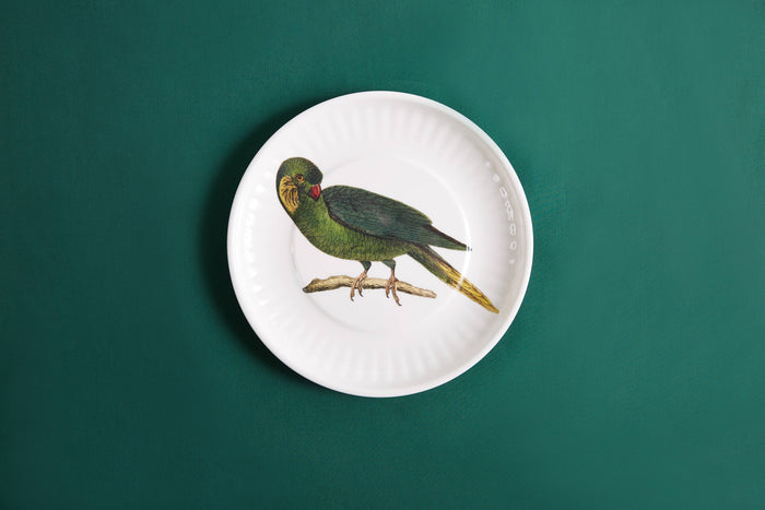 Parrot Melamine Dinner Plates -  S/4