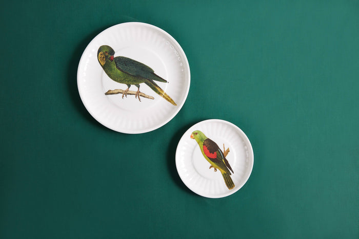 Parrot Melamine Dinner Plates -  S/4