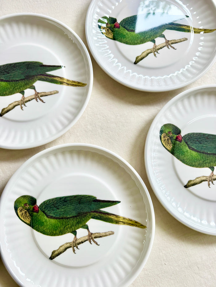 Parrot Melamine Dinner Plates -  S/4