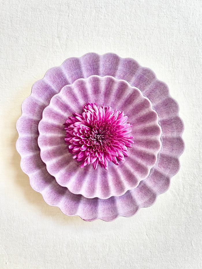 PRE-ORDER -Oyster Dinnerware - Violet - S/4