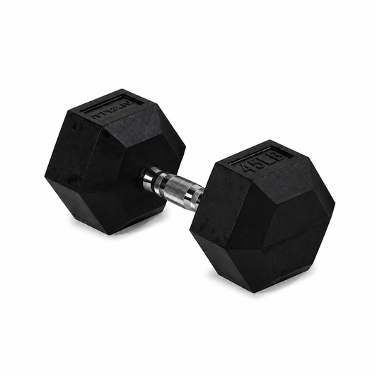 Scratch and Dent, 45 LB Rubber Hex Dumbbell