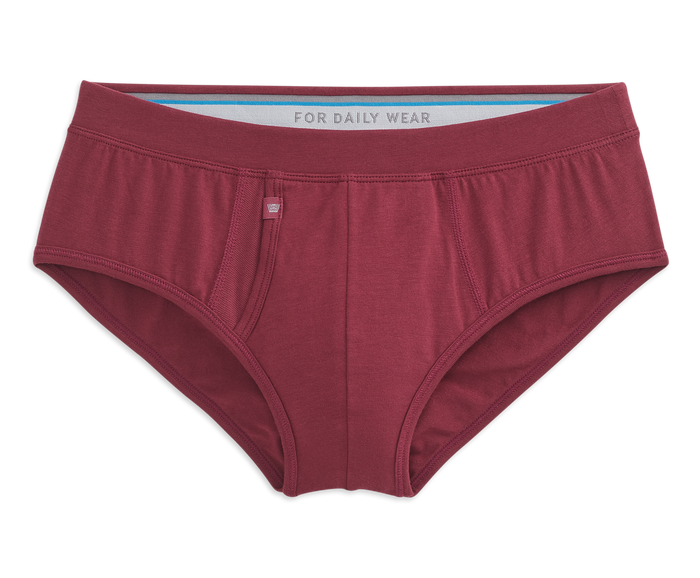 Bramble | Front view of Silver Brief in Bramble
