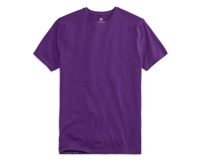 Purple Rain | Front view of Silver Crew Neck T-Shirt in Purple Rain