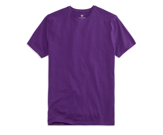 Purple Rain | Front view of Silver Crew Neck T-Shirt in Purple Rain