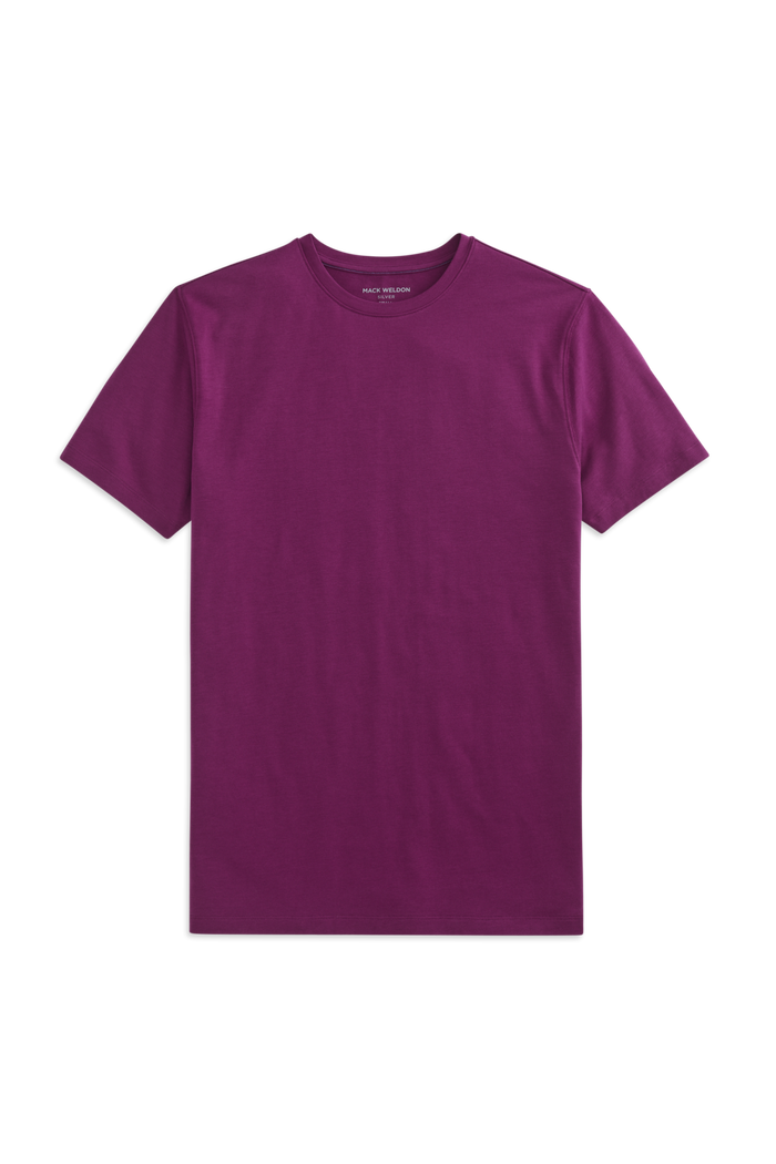 Purple Potion | Front view of Silver Crew Neck T-Shirt in Purple Potion