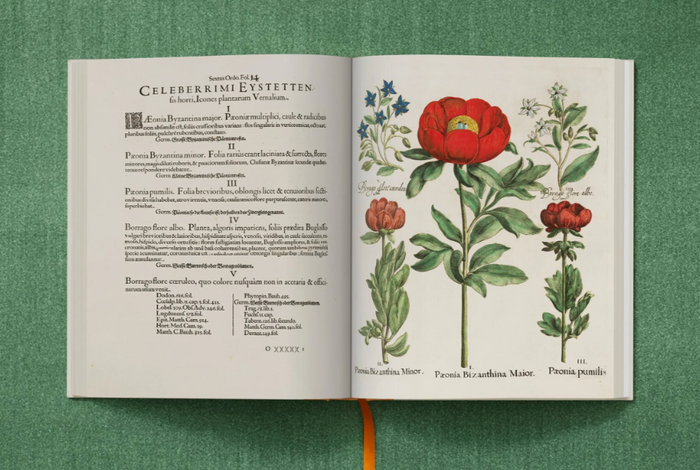 The Garden at Eichstätt Art Books - 3 Volumes