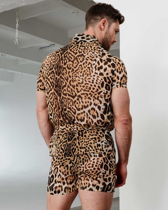 Tiziano Shorts