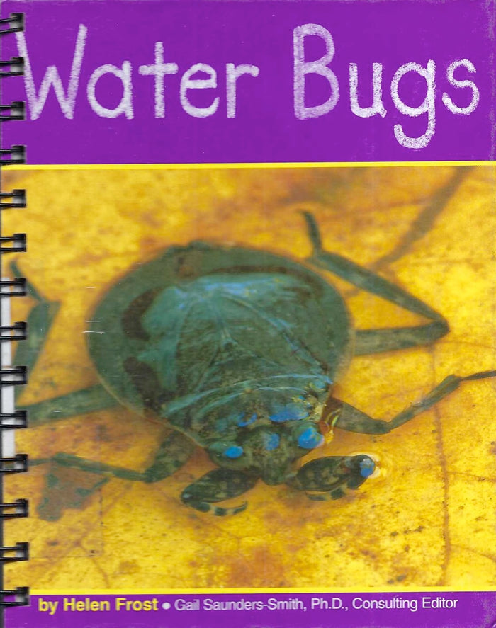 Water Bugs