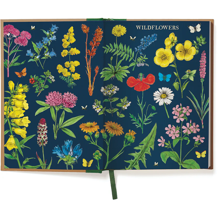 Window Journal - Wildflowers